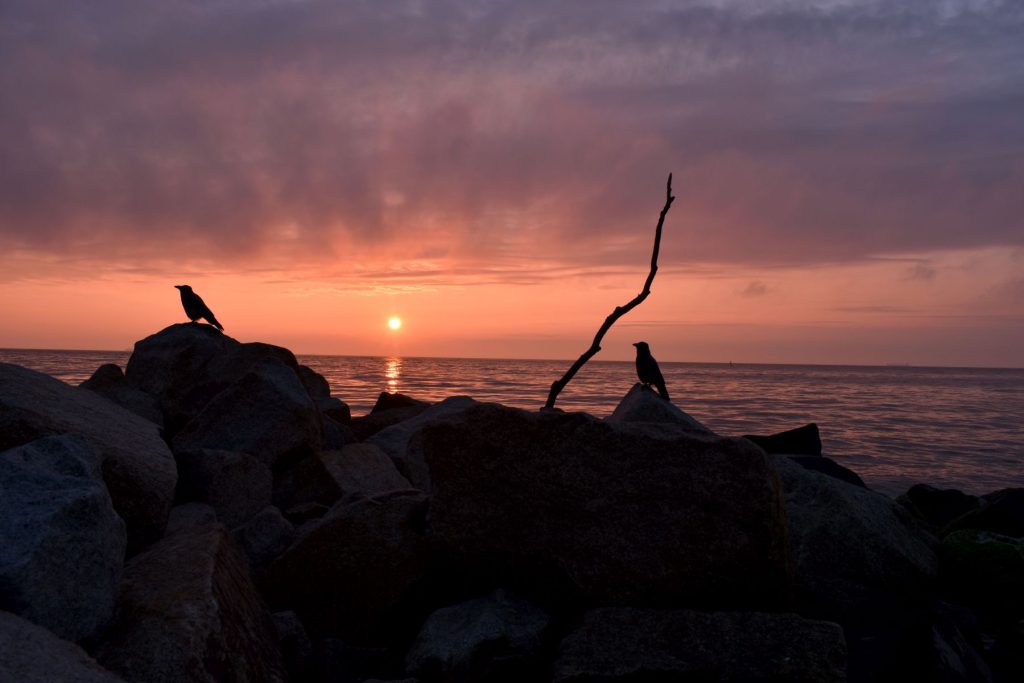 Wschód słońca, Orłowo